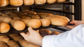 Пекари просят отменить тахографы для хлебовозов